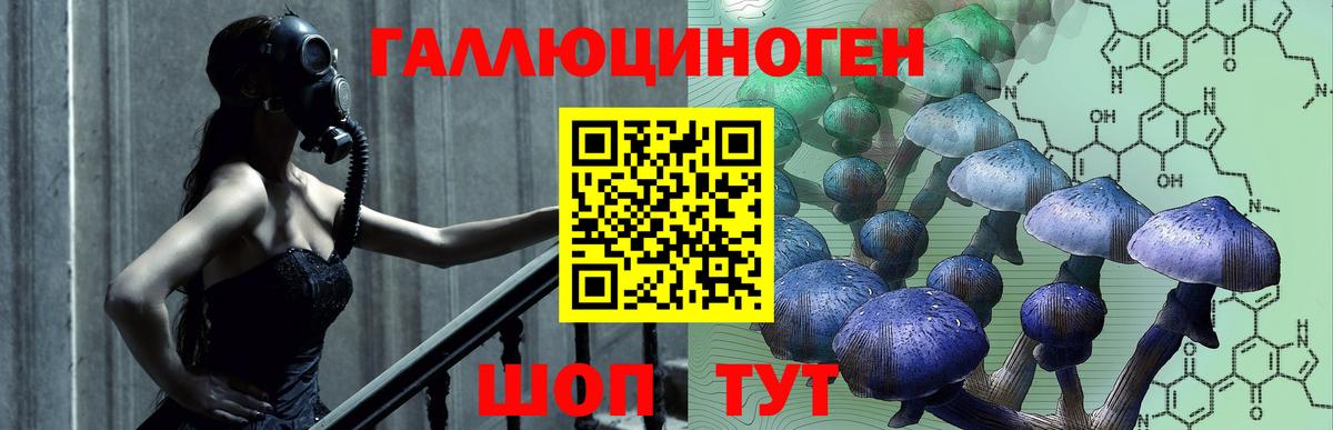 Галлюциногенные грибы мицелий  купить   Саров  Вход с VPN 